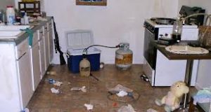 meth-lab-kitchen